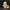 Duckpunzel - Handcrafted Rapunzel Parody Ducky
